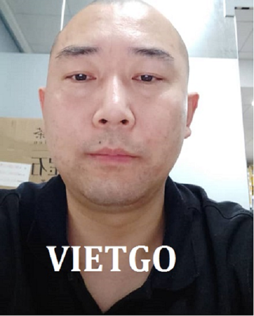 Gỗ keo vụn - VIETGO
